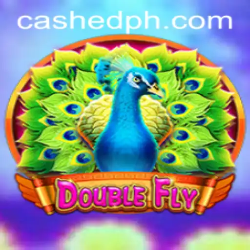 DoubleFly: An Innovative Gaming Experience with a Twist of Fortune